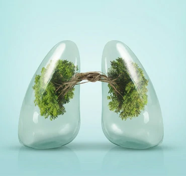 VECEE disposable vapes Health and environmental banner-370x350px