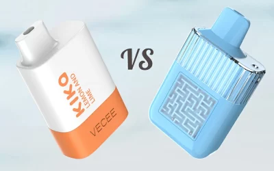 VECEE Disposable Vapes Homepage 24 Disposable Vapes VS Pod System: What’s the Difference?