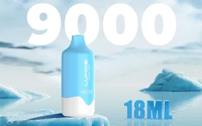 9000Puffs of Disposable Vapes
