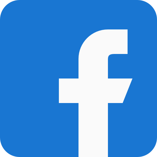 VECEE facebook icon
